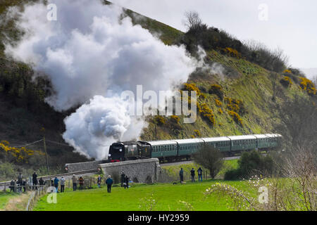 Corfe Castle, Dorset, Regno Unito. 31 Mar, 2017. La stazione ferroviaria di Swanage hosting di un vapore di gala per oltre 3 giorni con Bulleid locomotori per celebrare il cinquantesimo anniversario della operazione finale di bolina vapore servizio sulle ferrovie britanniche meridionale della regione. Nella foto è la locomotiva 34092 Città di Wells avvicinando Norden stazione come si attraversa il viadotto dopo Corfe Castle stazione. Photo credit: Graham Hunt/Alamy Live News Foto Stock