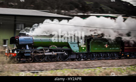 Ribblehead, UK. 31 Mar, 2017. Flying Scotsman poteri in Keighley sul ritorno dalla riapertura del Settle a Carlisle linea. La linea è stata chiusa il 9 febbraio 2016 come risultato di una frana. Le riparazioni hanno costato £23M Credito: Graham Eva/Alamy Live News Foto Stock