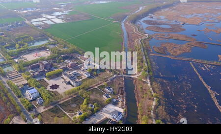 Baoding. 31 Mar, 2017. Foto aerea adottate il 31 marzo 2017 mostra Baiyangdian, nel nord della Cina la più grande zona umida d'acqua dolce, nella contea di Anxin, nel nord della Cina di nella provincia di Hebei. La Cina ha annunciato sabato si dovrebbe stabilire il Xiongan Nuova Area della provincia di Hebei, come parte delle misure per far avanzare lo sviluppo coordinato dell'Beijing-Tianjin-Hebei (BTH) regione. La nuova area, circa 100 km a sud-ovest del centro cittadino di Pechino, si articolerà in tre contee che siedono al centro dell'area triangolare formata da Pechino, Tianjin, Hebei della capitale provinciale Shijiazhuang. Credito: Yang Shiyao/Xinhua/Alamy Live News Foto Stock