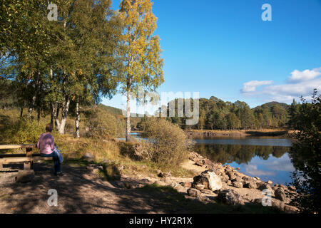 Glen Affric fiume Affric, Inverness, Highland, Scotland, Regno Unito Foto Stock