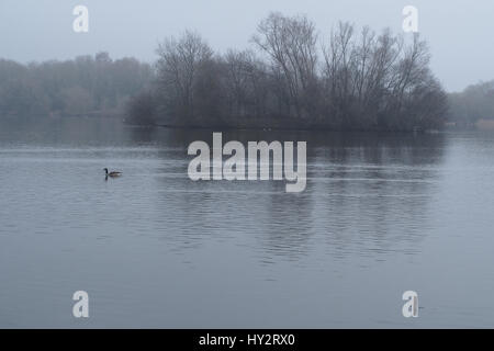 La mattina presto vista su acqua fresca lago nel Kent Foto Stock