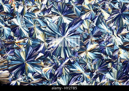 Immagine al microscopio di cristalli di Asipirin (acido acetilsalicilico) fotografato in luce polarizzata Foto Stock