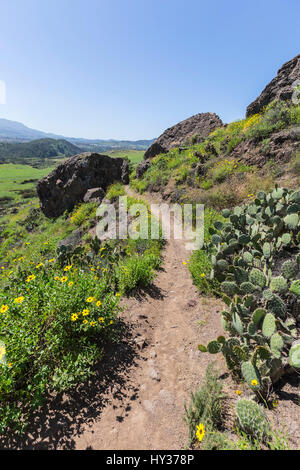 Wildwood Parco Regionale sentiero escursionistico in Thousand Oaks, California. Foto Stock