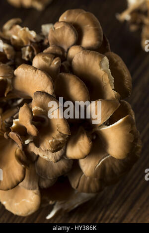 Materie organiche funghi Maitake a grappolo Foto Stock