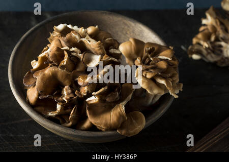 Materie organiche funghi Maitake a grappolo Foto Stock