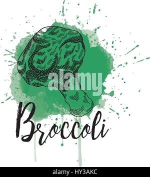 Illustrazione Vettoriale di brocoli. Lato immagine disegnata Illustrazione Vettoriale
