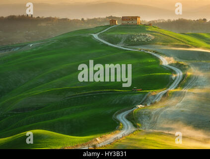 L'Italia,Toscana.in provincia di Siena.Crete Senesi. Campi vicino a Asciano Foto Stock