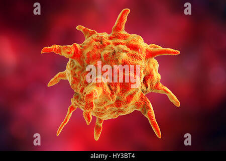 Virus di diverse forme, illustrazione del computer. Foto Stock