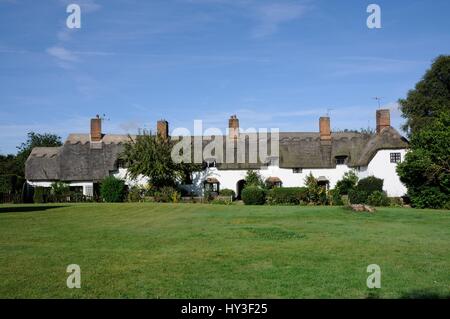 Cottages intorno al verde. Ardeley, Hertfordshire. Questi meravigliosi edifici con tetti in paglia intorno il verde sono il risultato di una visione del sig. Carter e il dottor Eck, Foto Stock