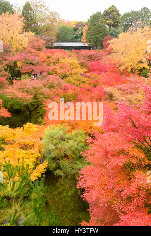 Giardino con colore di autunno alberi con ponte Tsutenkyo in background in Kiyomizu-dera tempio di Kyoto, Giappone Foto Stock