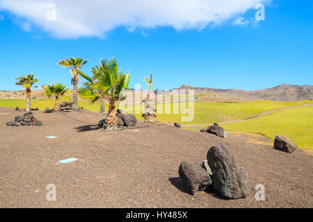 Le rocce vulcaniche e palme su un campo da golf a Las Playitas town, Fuerteventura, Isole Canarie, Spagna Foto Stock