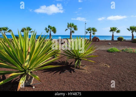 Passeggiata costiera area verde in Las Playitas villaggio e spiaggia pubblica, Fuerteventura, Isole Canarie, Spagna Foto Stock