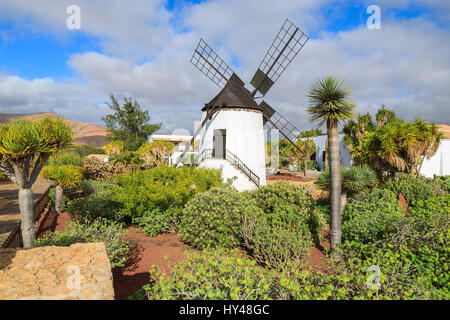 Vecchio mulino in giardini tropicali di Antigua village, Fuerteventura, Isole Canarie, Spagna Foto Stock