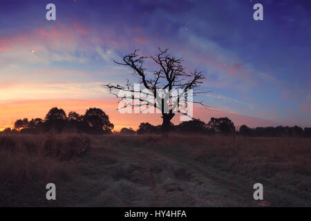 Bel mattino cielo con le stelle. Di rosso le nuvole in mattina blu cielo sopra il prato. Splendente crepuscolo con cielo stellato. Foto Stock