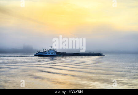 Navigazione della nave con la nebbia sull'Elba in Kirchwerder, Amburgo, Germania, Europa Binnenschiff bei Nebel auf der Elbe in Kirchwerder, Deutschland, Europa Foto Stock