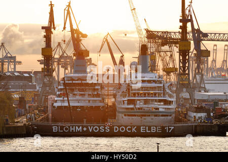 Le navi da crociera MS Amadea e albatross MS nel bacino a secco l'Elba 17 di Blohm Voss e nel porto di Amburgo ad Amburgo, Germania, Europa, Die Kreu Foto Stock