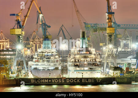 Le navi da crociera MS Amadea e albatross MS nel bacino a secco l'Elba 17 di Blohm Voss e nel porto di Amburgo ad Amburgo, Germania, Europa, Die Kreu Foto Stock