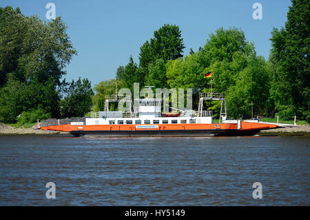 Elbfaehre Zollenspieker-Hoopte sull'Elba altezza Kirchwerder, Amburgo, Germania, Europa Elbfaehre Zollenspieker-Hoopte auf der Elbe Hoehe Kirchwerder Foto Stock