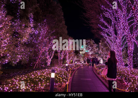Street luminarie, Shinjuku, Tokyo, Giappone Foto Stock