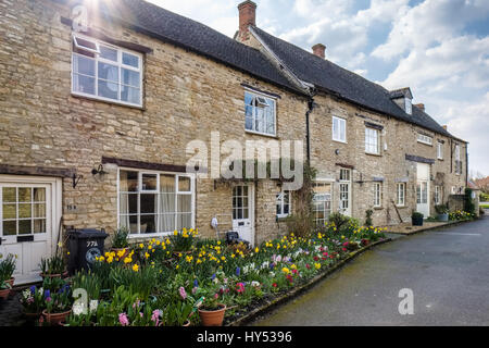 Fila di miele case colorate a Witney Foto Stock