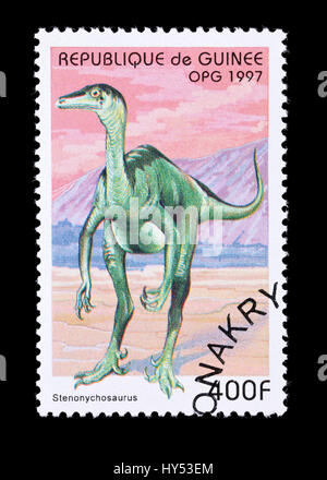 Francobollo della Guinea raffigurante un dinosauro stenonychosaurus Foto Stock