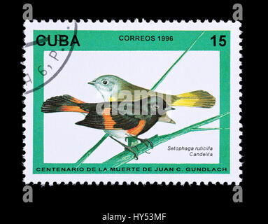 Francobollo da Cuba raffigurante un maile e femmina redstart americano (Setophaga ruticilla) Foto Stock