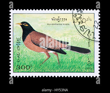 Francobollo dal Laos raffigurante un comune myna bird (Acridotheres tristis) Foto Stock