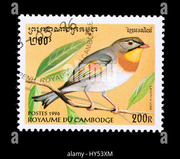 Francobollo da Cambogia raffigurante un rosso-fatturati leiothrix (Leiothrix lutea) Foto Stock