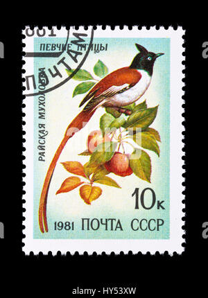 Francobollo dall'Unione Sovietica raffigurante un Indian Paradise Flycatcher (Terpsiphone paradisi) Foto Stock