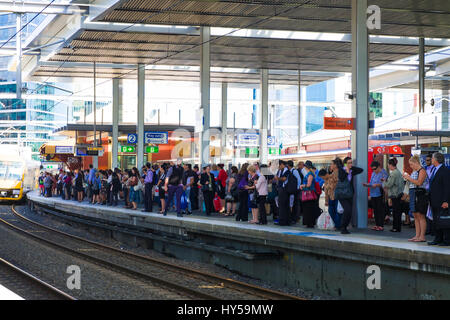 Rail Pendolari in attesa: affollato piattaforma alla stazione di Parramatta, Sydney, Australia. Ora di punta in folle. Tornando a casa dalla work.Commuting. Molti pendolari Foto Stock