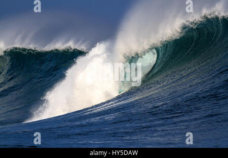 Rottura gigante oceano onda in Hawaii Foto Stock