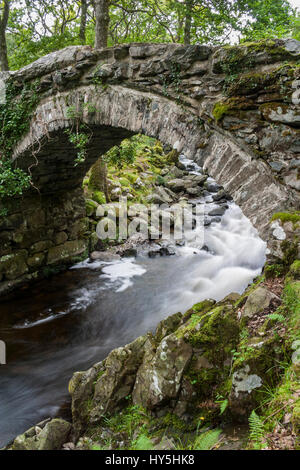 Un antico ponte in pietra attraverso il Fiume Artro, il Galles del Nord Foto Stock