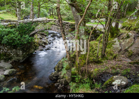 Un antico ponte in pietra attraverso il Fiume Artro, il Galles del Nord Foto Stock