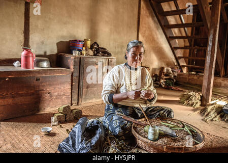 PINDAYA, MYANMAR - 25 gennaio 2016 : vecchia donna lavora nella sua casa Foto Stock