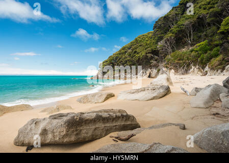 Rocce sulla spiaggia sabbiosa con vegetazione tropicale, Tonga cava, Tonga Bay, il Parco Nazionale Abel Tasman, regione Tasmania, Southland Foto Stock