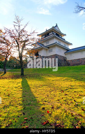 La forma del castello Nagaoka città museo locale Parco Yukyuzan Niigata Giappone Foto Stock