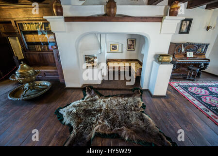 Il camino in biblioteca e sala musica nel Castello di Bran, Romania chiamato 'Dracula Castello dell', casa di carattere del titolo in Bram Stoker's 'Dracula" nuovo Foto Stock