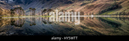 Panorama del lago Buttermere, Cumbria, Regno Unito con riflessi di montagne e alberi e il famoso Buttermere Pines Foto Stock