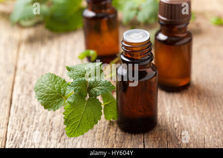 Olio essenziale di menta in una bottiglia di vetro, rametti di menta fresca su un vecchio sfondo di legno Foto Stock