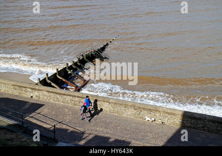 Un paio di piedi un cane sul lungomare a Cromer, Norfolk, Inghilterra, Regno Unito. Foto Stock