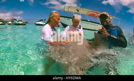 Nuotare con gli squali e le razze,Tiahura, Moorea, Polinesia Francese Foto Stock