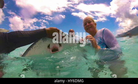 Nuotare con gli squali e le razze,Tiahura, Moorea, Polinesia Francese Foto Stock