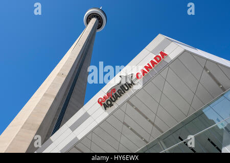 Ampio angolo di visione di Rypley's acquario del Canada e Toronto CN Tower, centro di Toronto, Ontario, Canada. Foto Stock