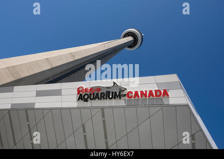 Ampio angolo di visione di Rypley's acquario del Canada e Toronto CN Tower, centro di Toronto, Ontario, Canada. Foto Stock