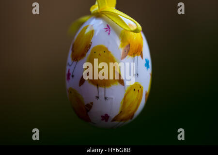 Pulcino uovo di pasqua decorazione Foto Stock