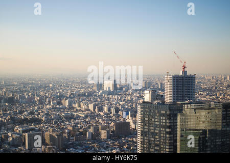 La vista dalla Tokyo Metropolitan Government Office Foto Stock