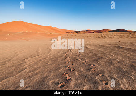Impronte sulla Scenic increspature e dune di sabbia in Sossusvlei, Namib Naukluft National Park, turistica migliore e di attrazione di viaggio in Namibia. Avventura e Foto Stock