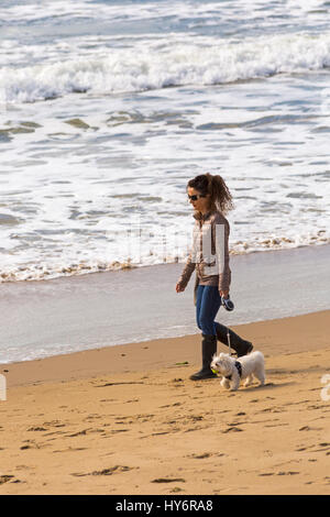 Bournemouth - una giovane donna che cammina cane, con palla da tennis in bocca, lungo la riva del mare a Bournemouth Beach mare in aprile Foto Stock