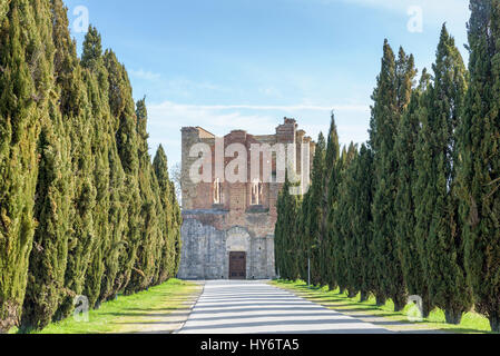 L' Abbazia di San Galgano fu un monastero , situato nei pressi di Siena. Il scoperchiata pareti di stile gotico del XIII secolo ancora in piedi Foto Stock