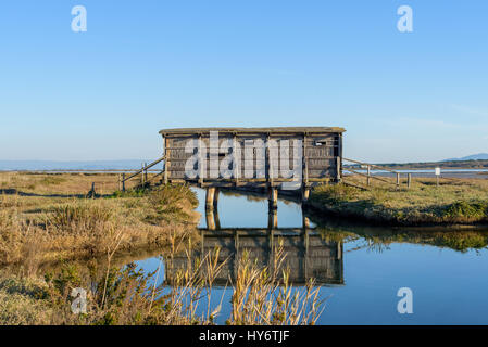 Legno capanno birdwatching nella riserva naturale/ Castiglione della Pescaia, Toscana, Italia Foto Stock
